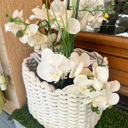 Apartment Le Nid D'amour Cyr *